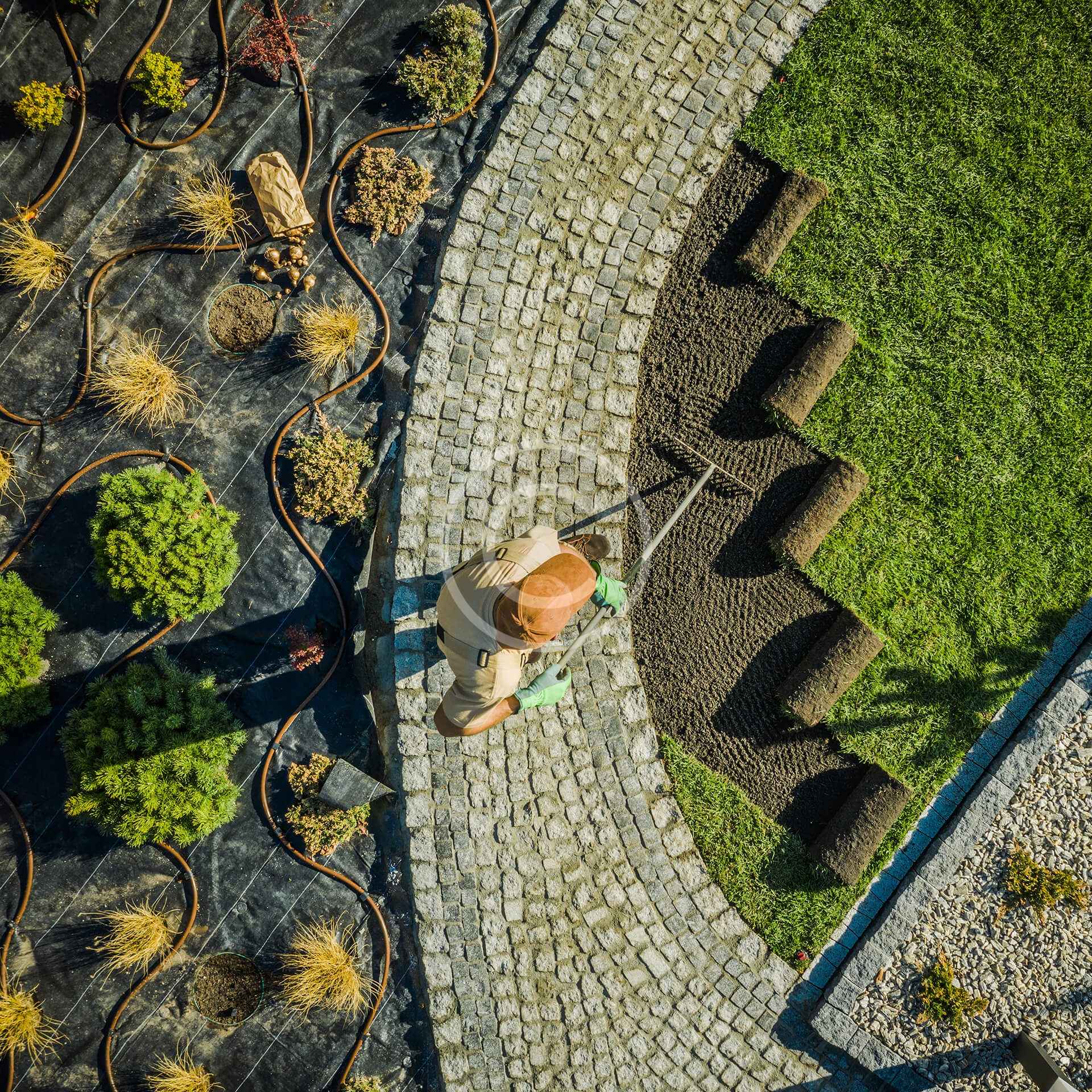 Flores Naturales Preservadas