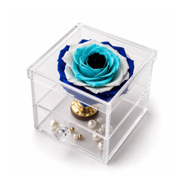 Caja Acrilica con Bonita