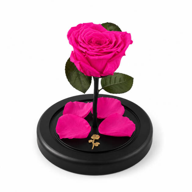 Domo Small Bella Heart Rose